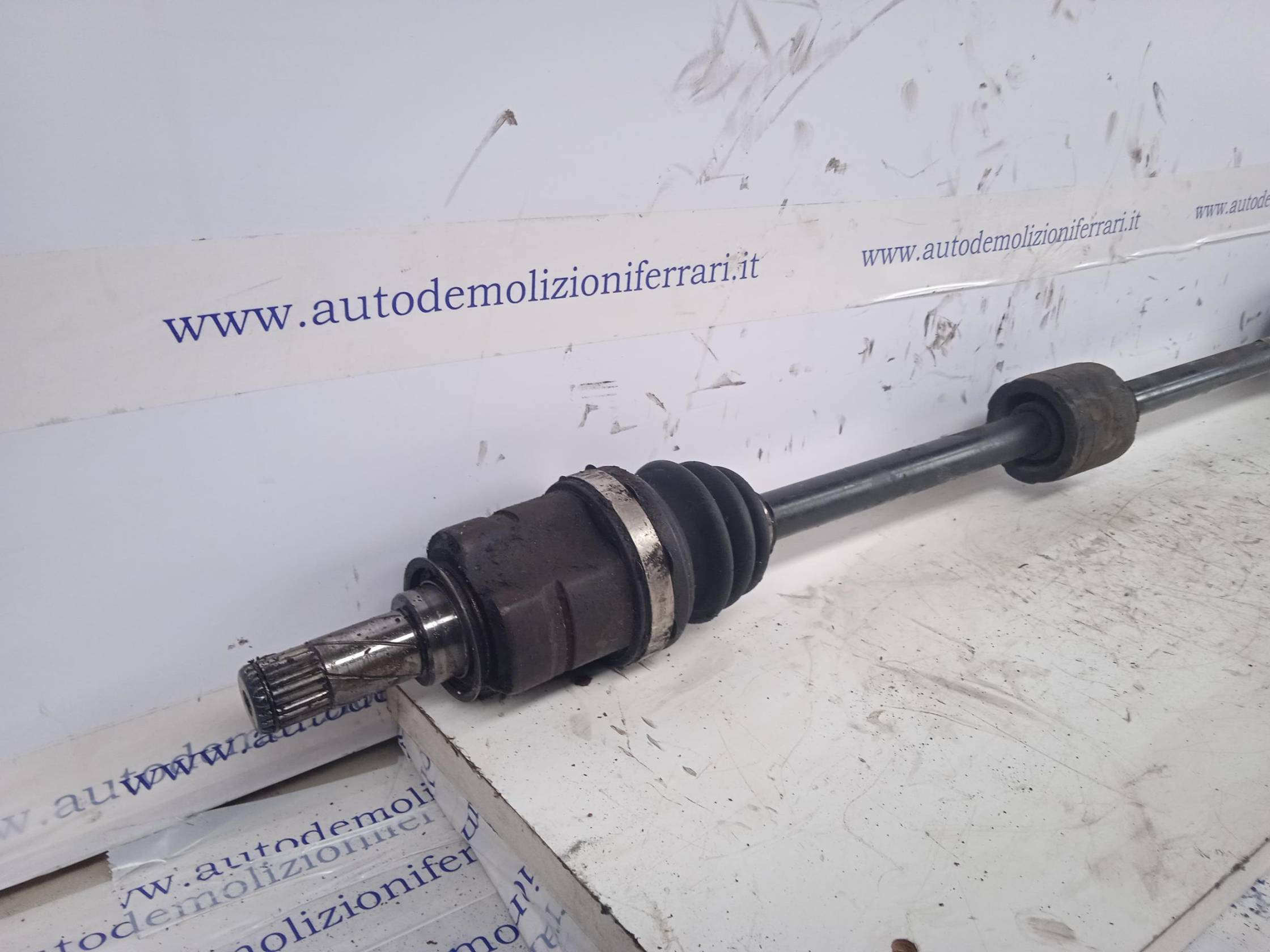 Semialbero ant. compl. dx.